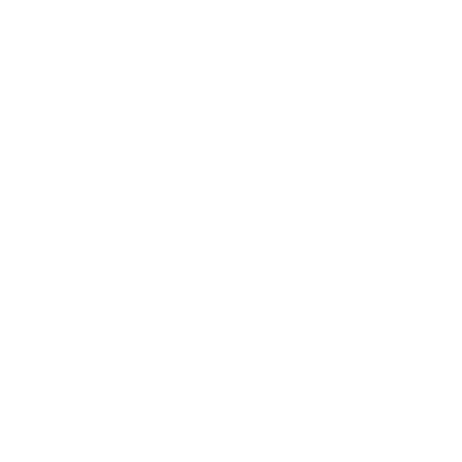 Logo Arnhem wit png